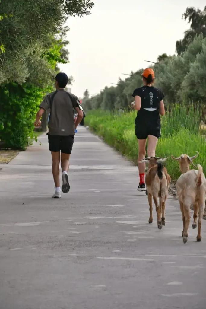Goat Run Club